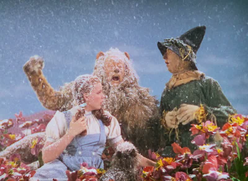 Unusual weather we're having, ain't it?