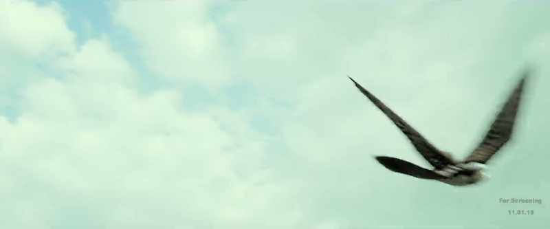 Up to 12 kilometers can fly