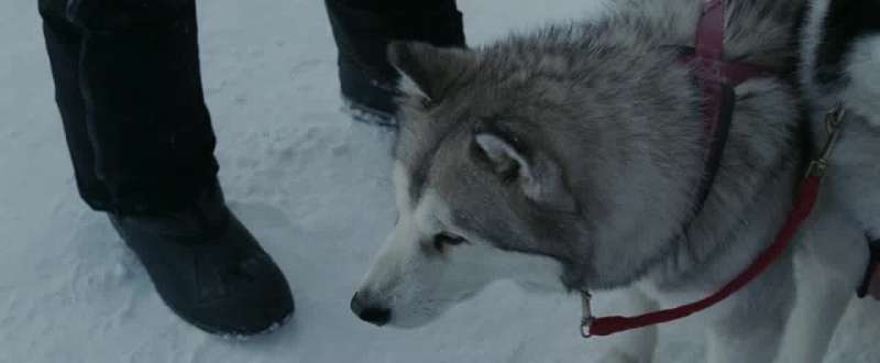 Up here in front on lead we got my best girl Maya
