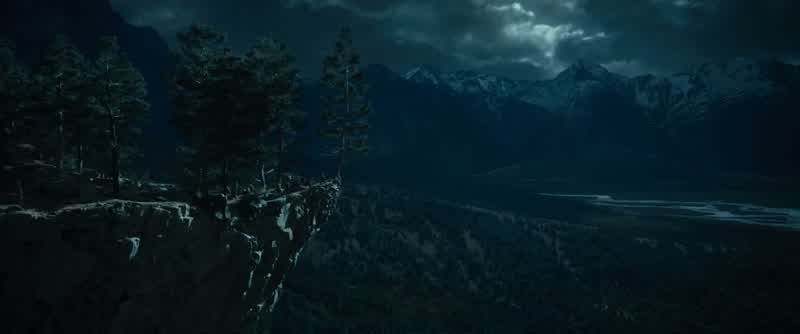 Up into the trees!