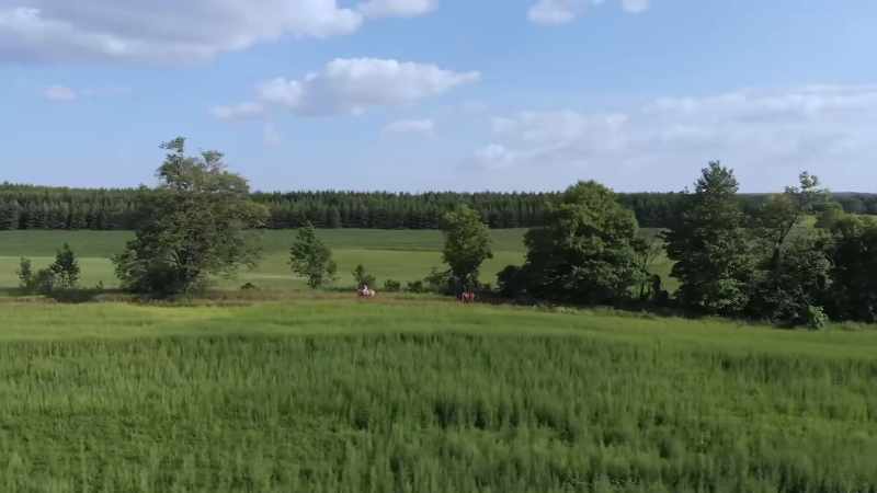 �� [uplifting music]