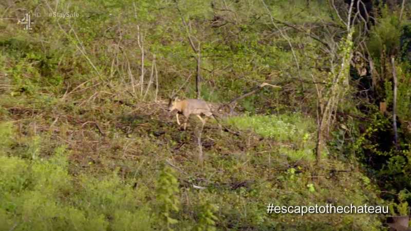 (uplifting music)