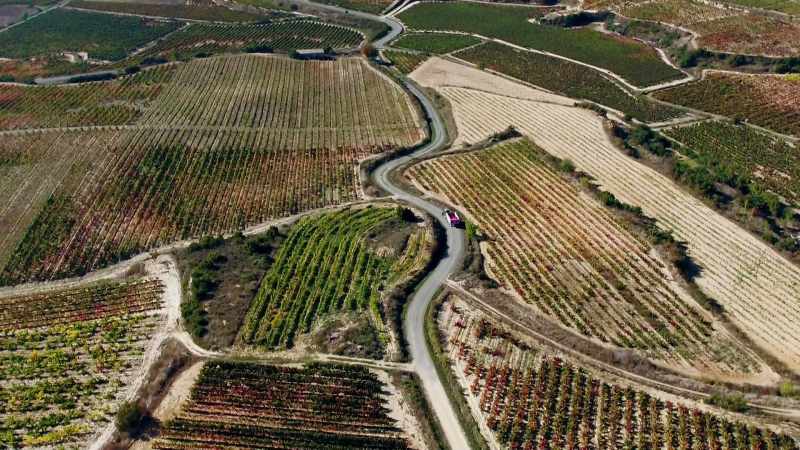 URRUTIA: Harvest is the most challenging moment