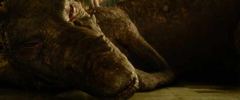 Us dragons are only evil