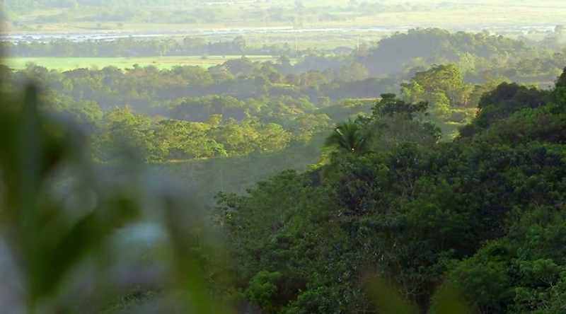 � Using the LiDAR map