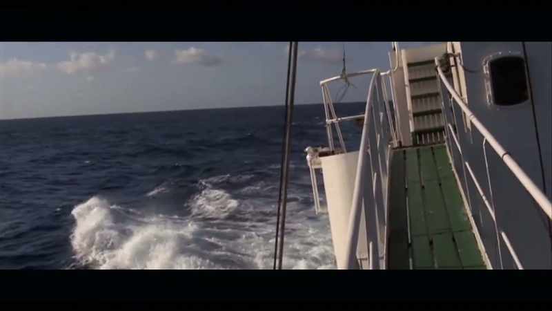 VALERIE: We were still looking for the great white shark