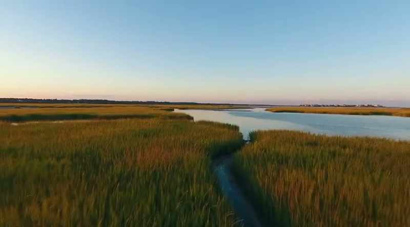 Vann: In the '90s, North Carolina was actually