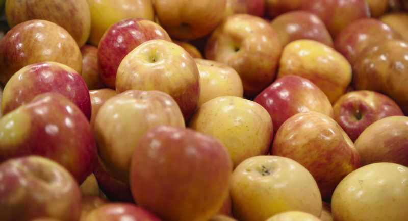 Varieties that we grow are Ginger Gold, Gala