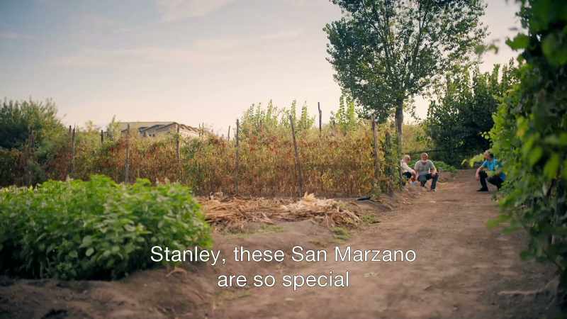 Varieties using the San Marzano name
