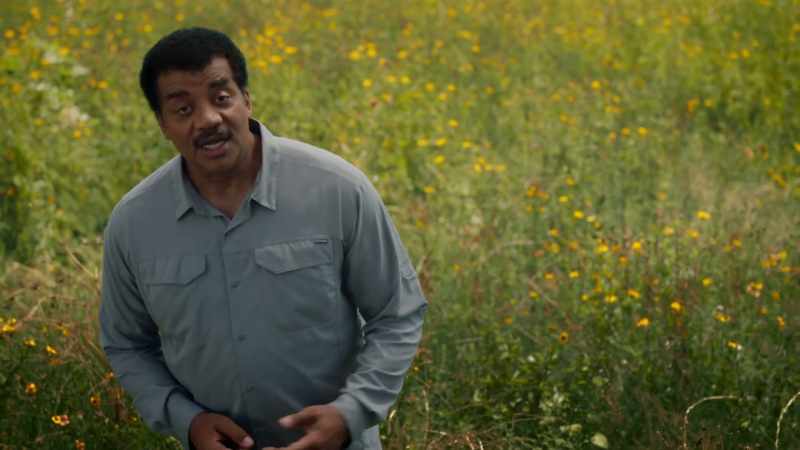 Vavilov would become a hunter of plants on five continents