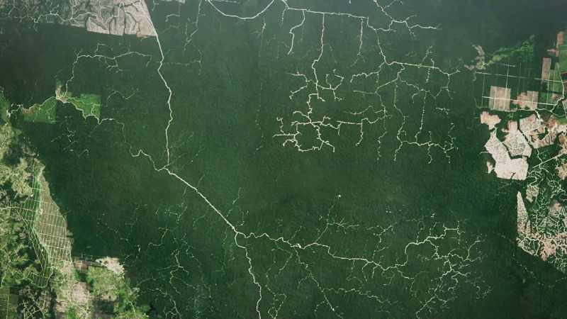 Viewed from space, the scale of destruction is only too obvious