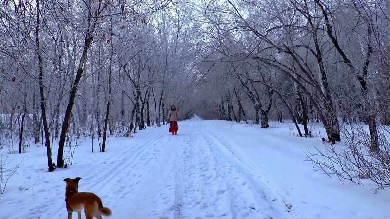 VILENSKAYA: Kamiensky was in Moscow