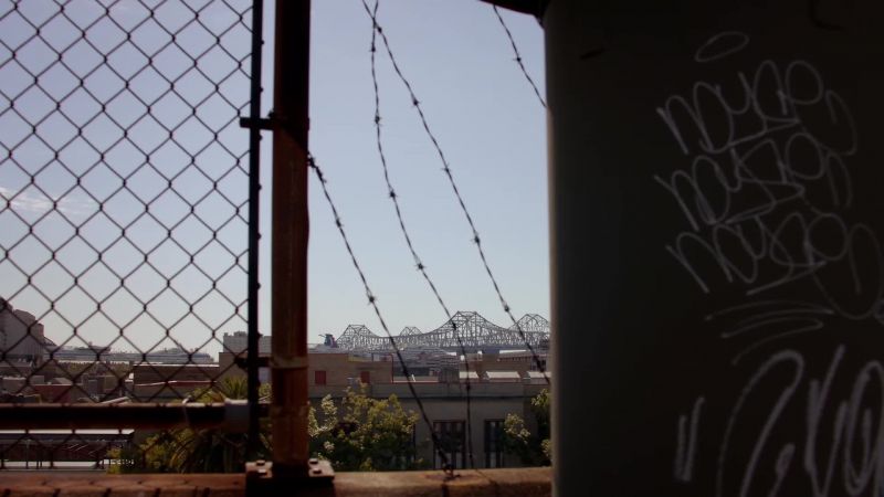 VINCENT [in distance]: Adam?