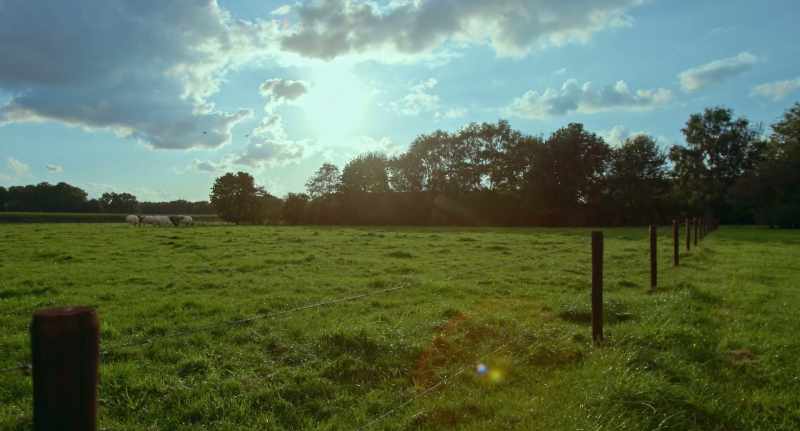 [Vincent] Now I look out over rolling pastures