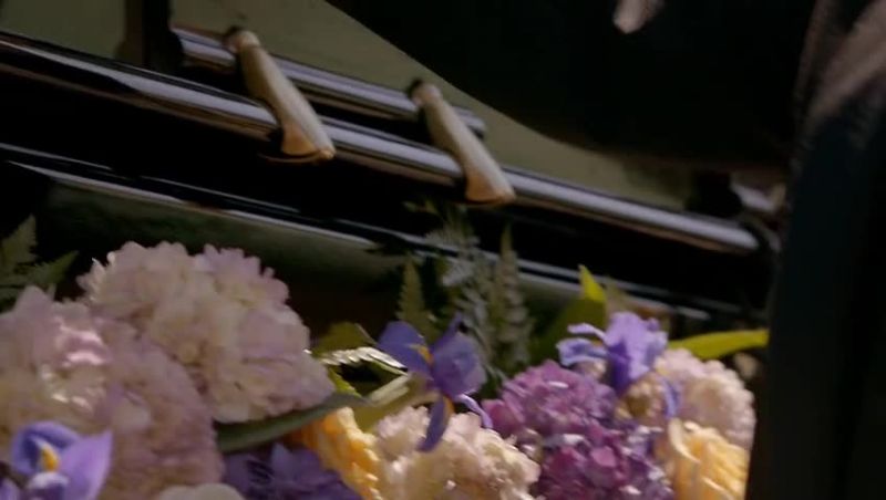 VINCENT: Say not in grief