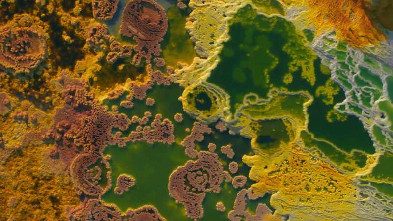 violence-when-the-asteroid-hit