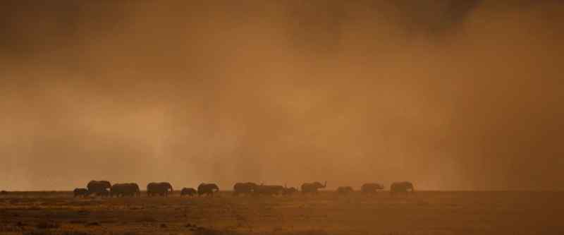 Violent winds whip the scorched earth