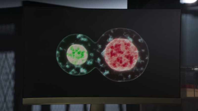 Virus seems to restore mitochondrial function