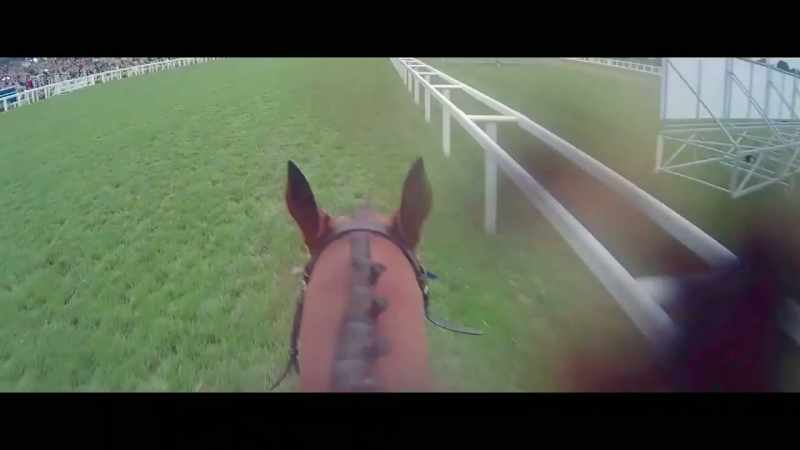 Visualisation then King Frankel and Irish Legend