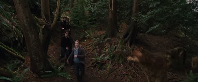 CARLlSLE Vladimir Stefanyou're a long way from homeWhat are they doing hereWe heard the Volturi were moving against youBut that you would not stand aloneWe didn't do what we were accused ofWe do not