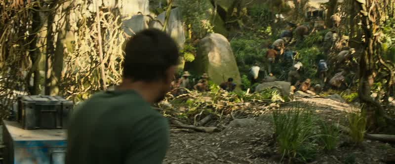 Vogel! They re escaping!