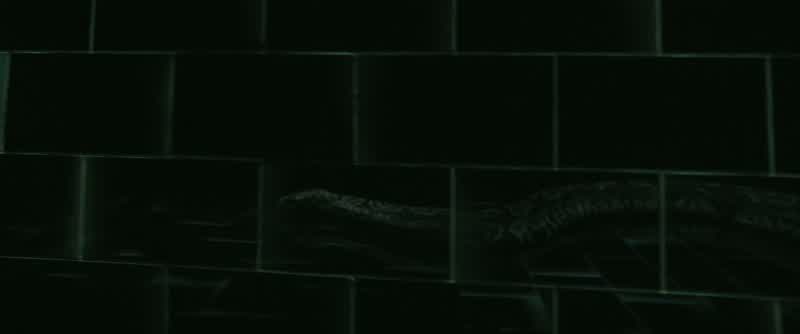 Voldemort may be after something