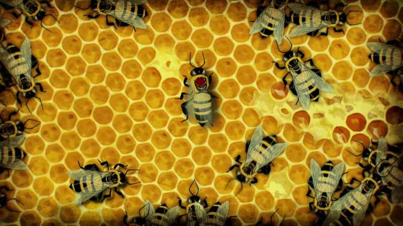 Von Frisch noted that when a bee danced straight upward
