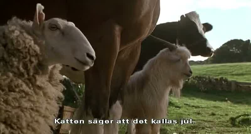�Vuele?