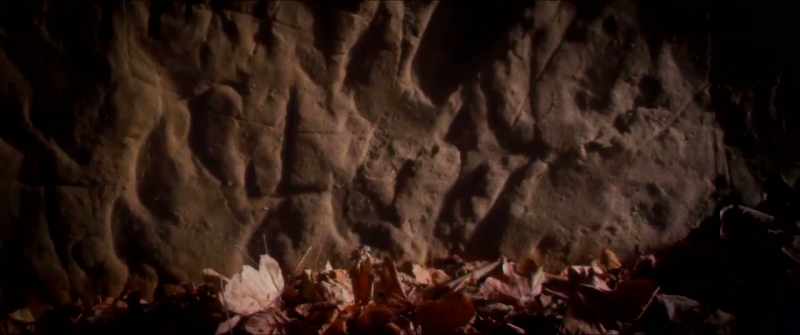 W-W-What do you actually know about the caves in this video?