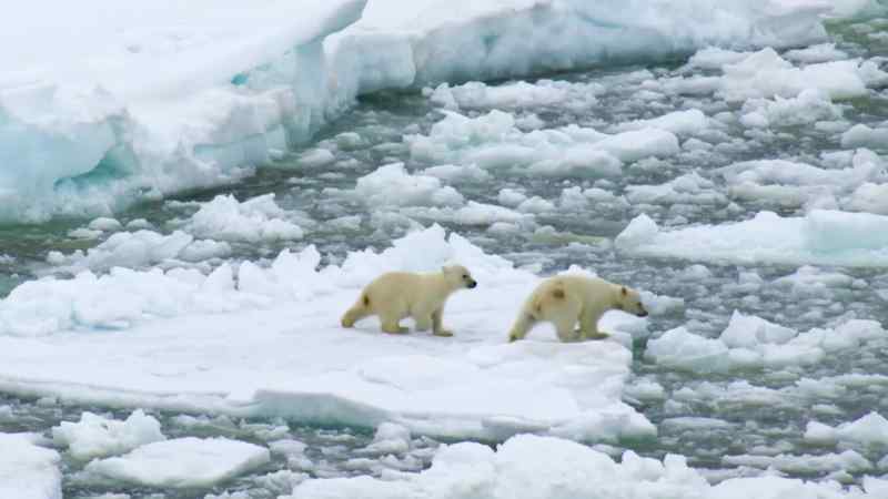 Wading through icy water is now a necessity