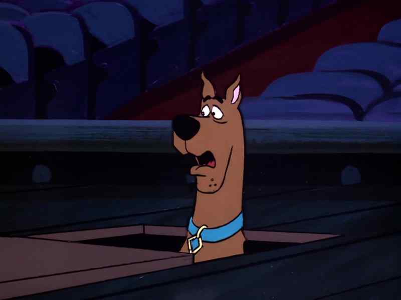 Wait a minute. - Me, wait? Why?
