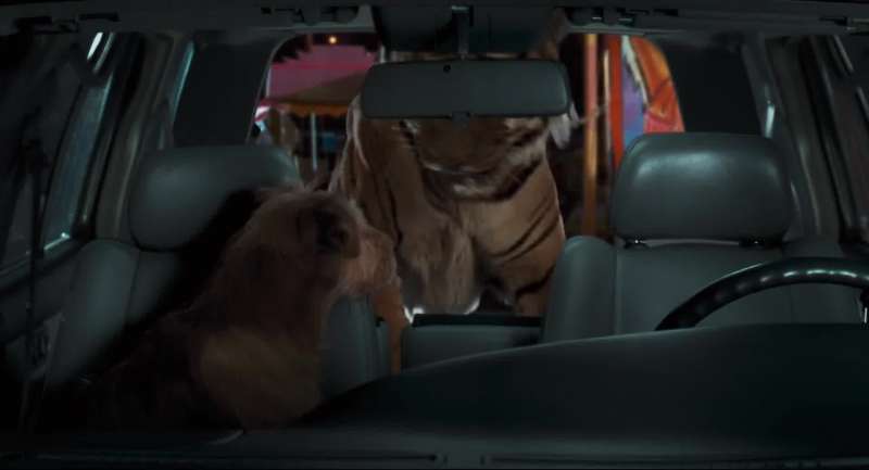 Wait a minute The dog gets to ride up front