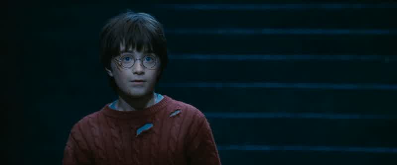 Wait a minute.- You understand right, Harry