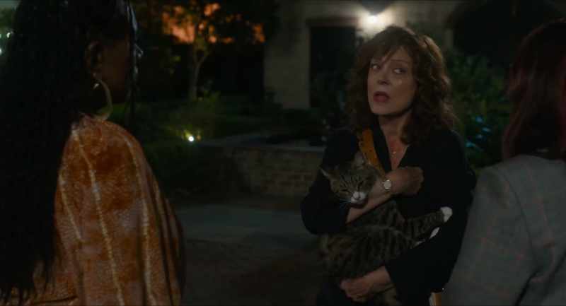 Wait, don't answer that. It's cats! That's right