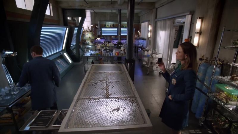 Wait, they have a week set aside just for sharks?