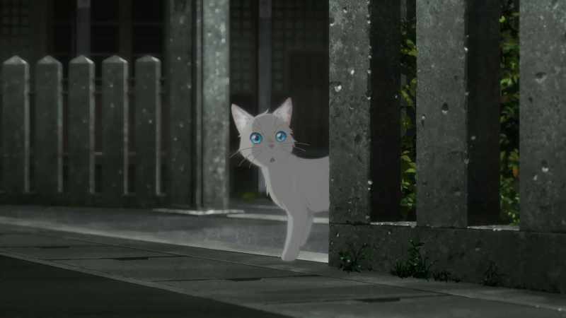 Wait, Hinode is looking for me?