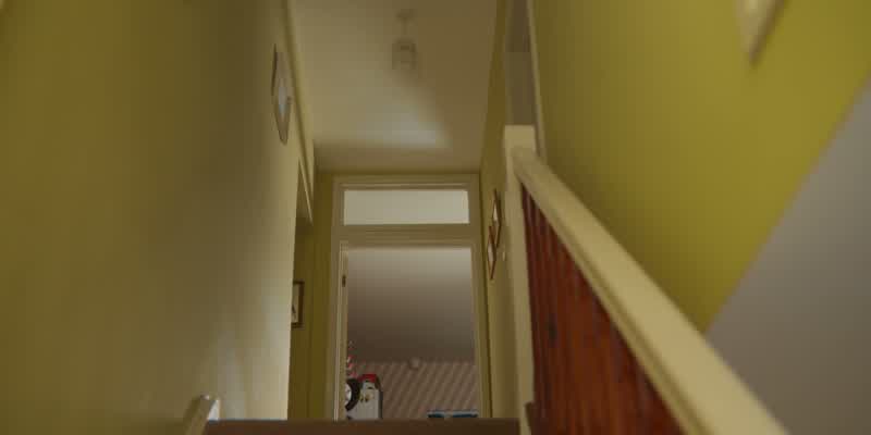 Wait! I'm coming too! -Okay, let's go