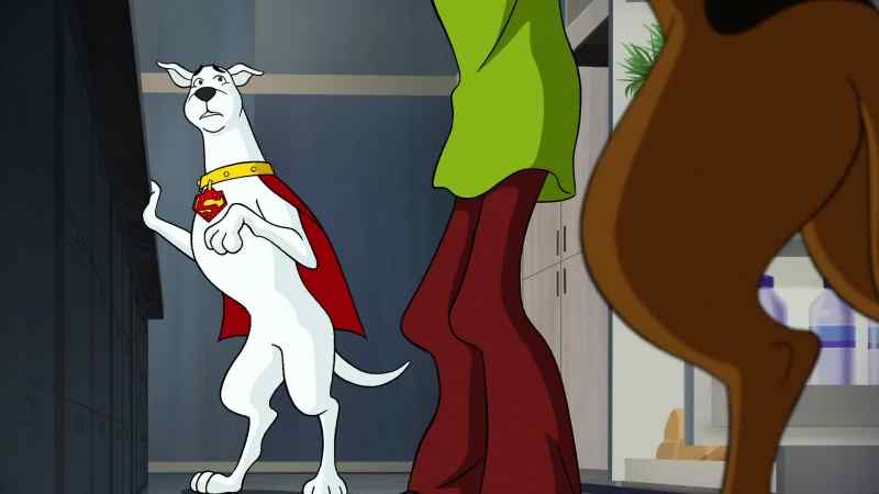 Wait, not now, Krypto