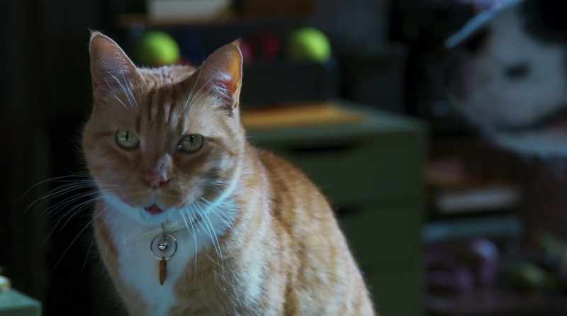 Wait, you saw some action? - Enough to know it wasn't for me