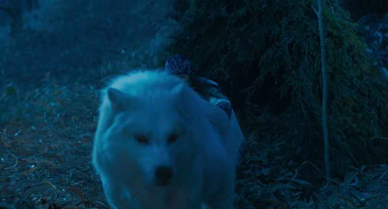 Wait! Stop! Go back to the pen!