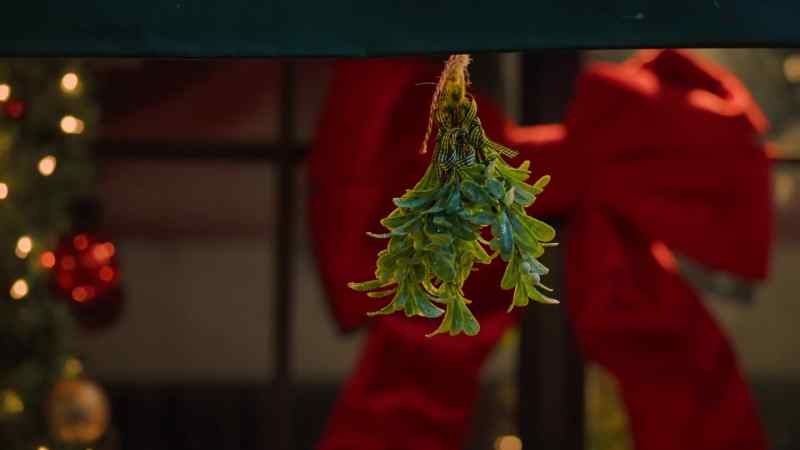 Wait, is that the mistletoe you said was missing