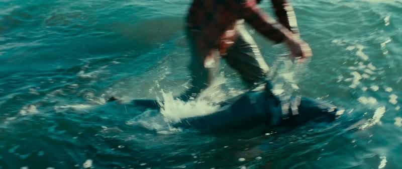 Wait! Wait! Wait! Wait! Wait for me! Wait for me! Go! Go! Go!