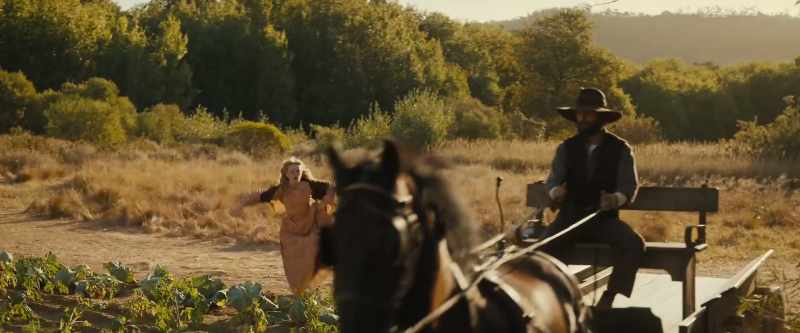 Wait, wait. - Whoa. - (Shadrach neighs)
