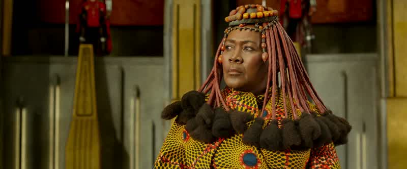Wakanda does not need a warrior right now