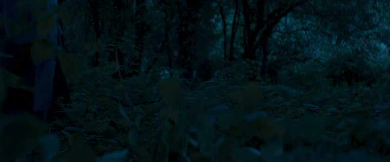 Walker 2: Open the door, light the way