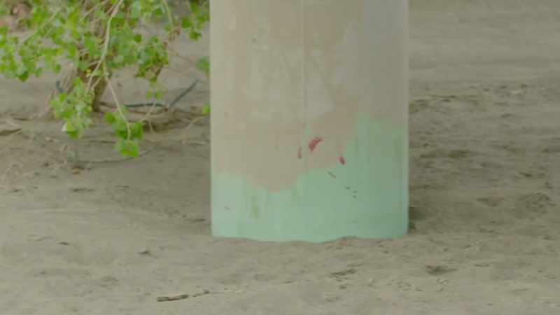 WALKER: When fully buried in the riverbed
