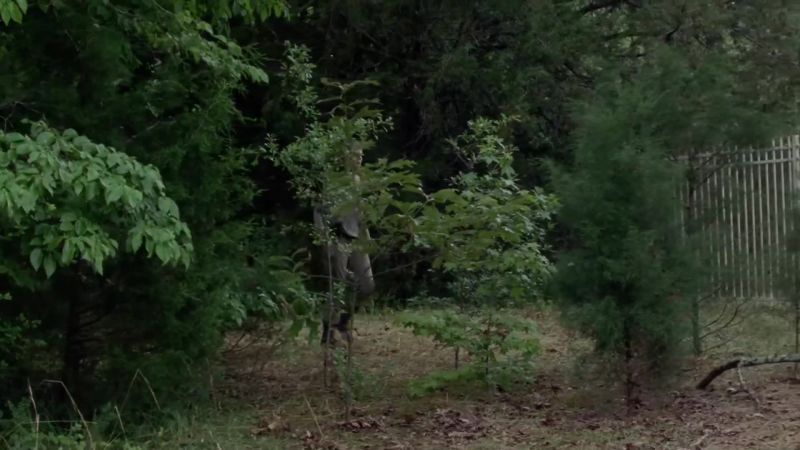 [Walkers growling]