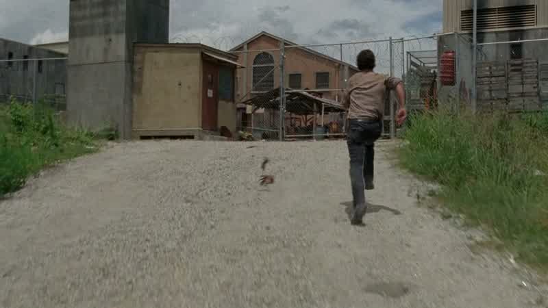 Walkers in D!