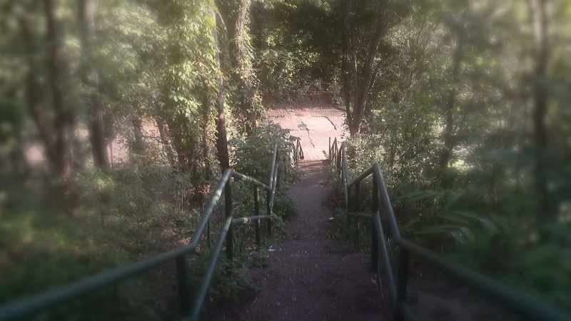 Walking me down these steps