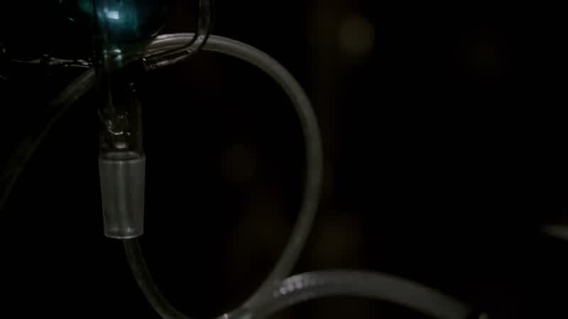 WALT: Keep the temperature steady at 425 degrees